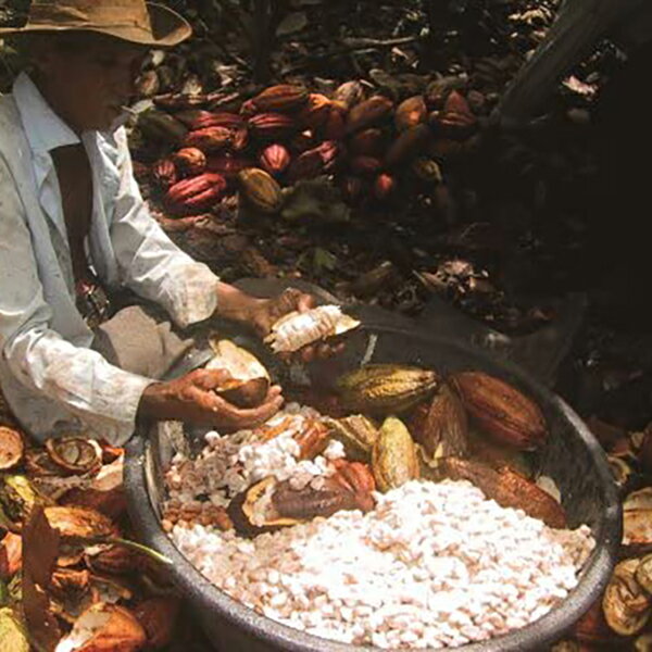 �ڥ����ѡ�SALE���ݥ���Ⱥ���8�ܡ��ۥ��祳�졼�� �ʥåĥ��祳�졼�� ���祳 ��3��������å� �ء�����ʥåĥ��祳�졼�� 100g 3�ޥ��å�