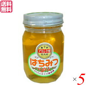 【マラソン限定!ポイント2倍!100円クーポン!】はちみつ 蜂蜜 国産 五十川養蜂園 国産はちみつ アカシア 500g 5個セット 送料無料
