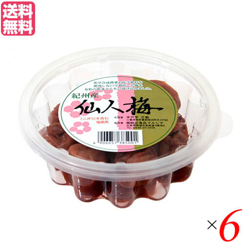 梅干し 梅干 マルシマ 宇戸平さんの紀州梅干し 仙人梅 200g 6個セット 送料無料