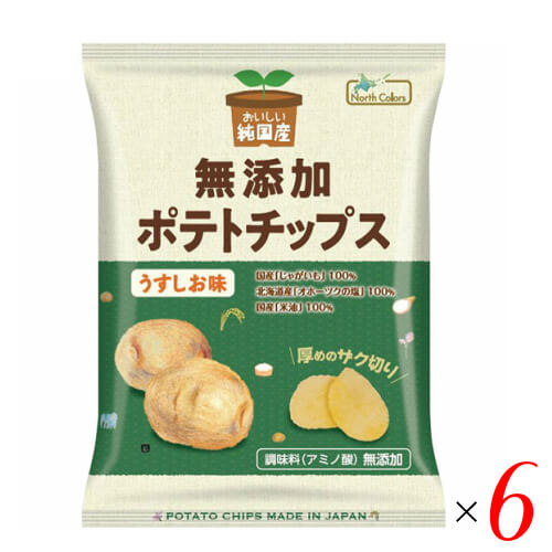 ポテチ ポテトチップス 無添加 おいしい純国産 無添加ポテトチップス うすしお味 55g ノースカラーズ 6袋セット 送料無料