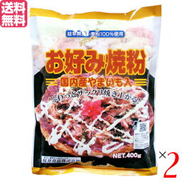 お好み焼き お好み焼き粉 400g 2袋セット 桜井食品 国産 送料無料