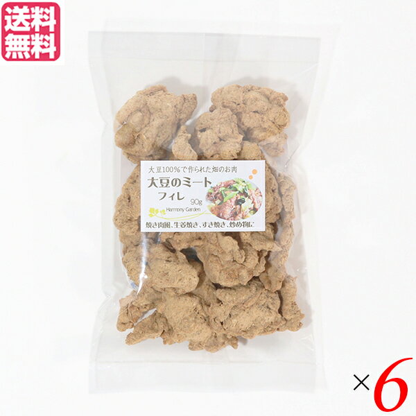 大豆ミート 国産 ヒレ 大豆ミート フィレ 90g 6袋セット 送料無料