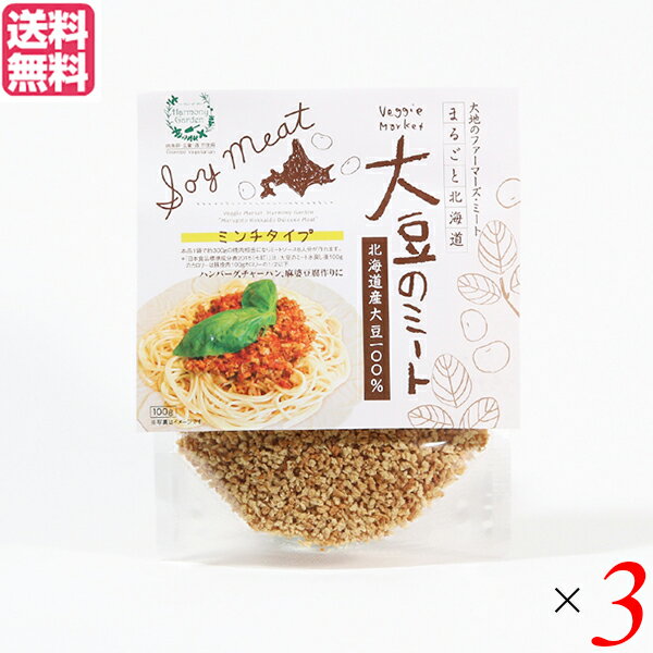 【マラソン限定!ポイント2倍!100円クーポン!】大豆ミート 国産 ミンチ 北海道産大豆のミート 100g 3個セット 送料無料