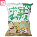 【7/30(水)限定!楽天カードでポイント最大12倍!】ポテトチップス うすしお 創健社 ポテトチップス うす塩味 60g 送料無料