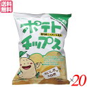 ポテトチップス うすしお 創健社 ポテトチップス うす塩味 60g 20袋セット 送料無料