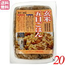 【マラソン限定!ポイント2倍!100円クーポン!】玄米 ご飯 パック コジマフーズ 玄米五目ごはん 160g 20個セット 送料無料