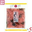 【5/1(木)限定!ポイント最大8倍!】漬物 漬け物 しょうが マルアイ食品 和の膳 国産梅酢しょうが 50g 5個セット 送料無料