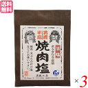 【7/20(日)限定!楽天カード利用でポイント8倍!】塩 天然塩 食塩 男鹿半島 焼肉塩 40g 3個セット 男鹿工房 送料無料