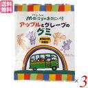 グミ フルーツ 詰め合わせ 創健社 メイシーちゃんのおきにいり アップルとグレープのグミ 8粒 3個セット 送料無料