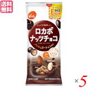 お菓子 ロカボ 糖質 でん六 ロカボナッツチョコ 34g 5袋セット とってもEサイズプラス 送料無料