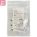 【マラソン限定!ポイント2倍!100円クーポン!】生姜 生姜湯 りんご 朝のアップルホットジンジャー 36g(12g×3包) 送料無料