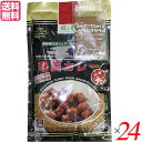 【8/1(金)限定!ポイント最大8倍!】カレー カレールー レトルト 風と光 奄美カレー 中辛 180g 24袋セット 送料無料