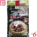 【8/1(金)限定!ポイント最大8倍!】カレー カレールー レトルト 風と光 奄美カレー 中辛 180g 6袋セット 送料無料
