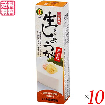 【ポイント4倍】最大20倍！しょうが 生姜 国産 ムソー 旨味本来・生しょうがチューブ入り 40g×10セット 送料無料