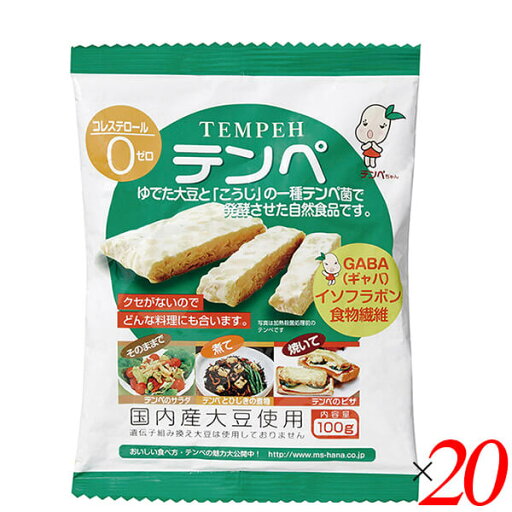 テンペ(レトルト)100g 20個セット マルシン食品 国産 大豆ミート 大豆肉 送料無料 テンペ(レトルト)100g 20個セット マルシン食品 国産 大豆ミート 大豆肉 送料無料
