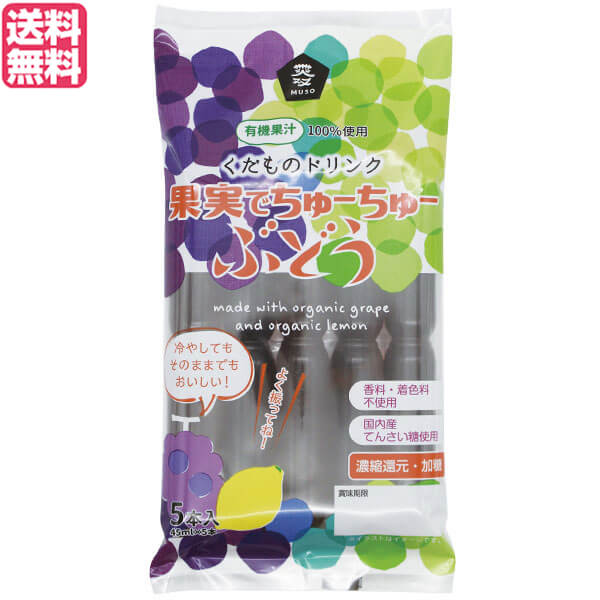 【5/18(土)限定！ポイント2~4倍！】チューチュー アイス ちゅーちゅー 果実でちゅーちゅー・ぶどう 45ml×5本 送料無料