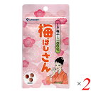 【マラソン限定!100円クーポン!学割2倍!】梅干し お菓子 梅ぼしさん(しそ梅干100%) 10.8g(約36粒) 2個セット ウメケン 送料無料