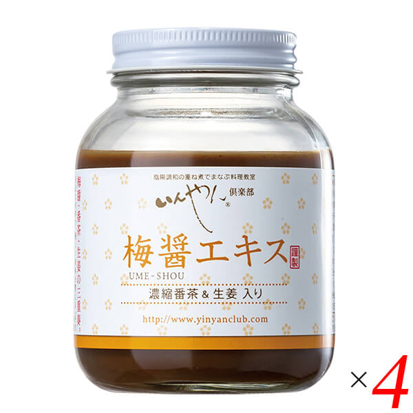 梅梅醤エキス 濃縮番茶＆生姜入り 250g 4個セット いんやん倶楽部