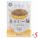 【ポイント最大5倍!超ポイントバック祭】麺 パスタ オートミール 素材を味わうオートミール麺 100g 5個セット 創健社