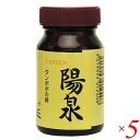 タンポポ 根 たんぽぽ茶 陽泉 100g 5個セット 日本正食品研究所 送料無料