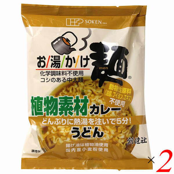 創健社 お湯かけ麺 植物素材カレーうどん 81g 2個セット ヴィーガン ビーガン 中太麺