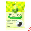 創健社 梅エキスキャンディー 75g (個包装込み) 3個セット 国内産有機栽培梅エキス使用 国産 梅 飴