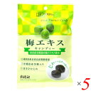 創健社 梅エキスキャンディー 75g (個包装込み) 5個セット 国内産有機栽培梅エキス使用 国産 梅 飴