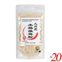 杉本商店 九州産本格椎茸粉 40g 20個セット シイタケ パウダー 粉末