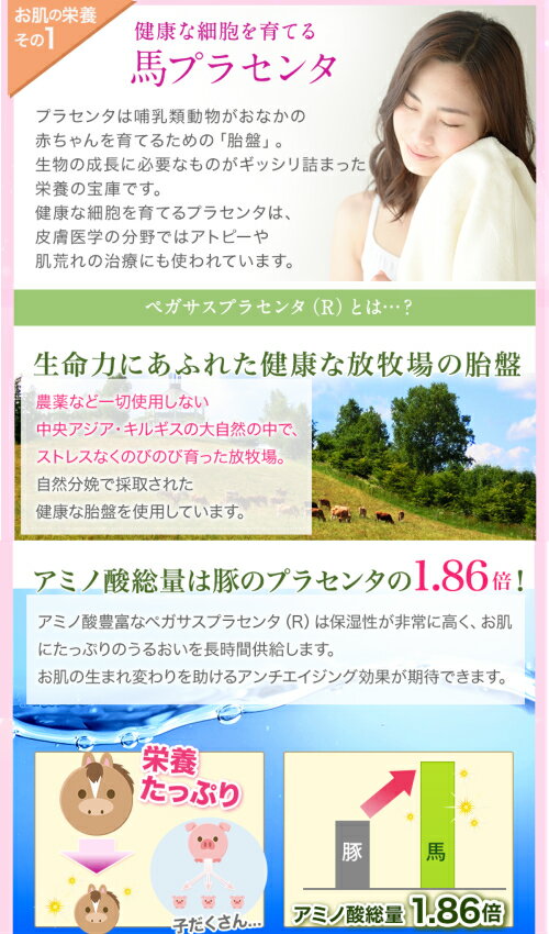 【ポイント6倍】最大34.5倍！化粧水 乳液 セット zero + PL essence ローション＆乳液 2セット
