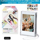 FUJIFILM チェキフィルム instax mini インスタントカメラ チェキ用フィルム 10枚入 絵柄 (マカロン) +(チェキホルダー付き) INSTAX MINI MACARON WW 1