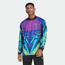 アディダスオリジナルス adidas Originals アディダススポーツ ゴールキーパー ジャージー ロングスリーブTシャツ メンズ HE4706 MENS ADIDAS SPRT GOALKEEPER JERSEY T-SHIRT MULTICOLOR