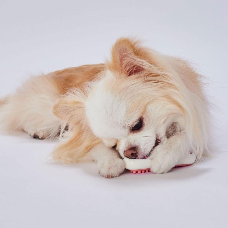 ペティオ (Petio) 犬用おもちゃ かんでるボーンデンタル Sハード 完熟いちごフレーバー