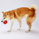 ペティオ (Petio)犬用おもちゃTREATS LOVER ボール M(4)