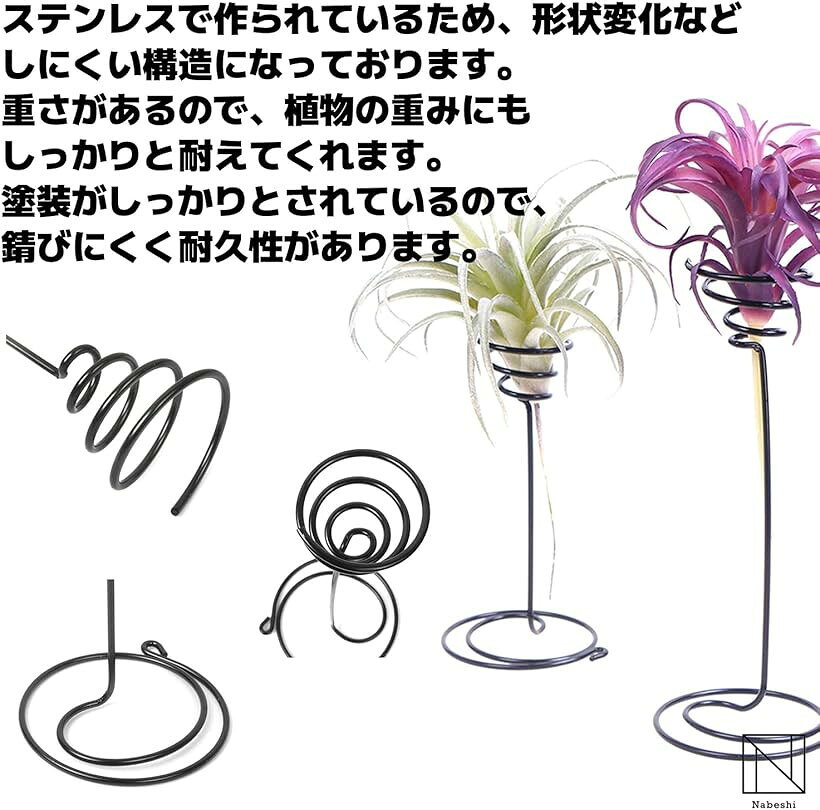 エアプランツフォルダー スタンド エアプラント 観葉植物 エアープランツ 大3個 (...