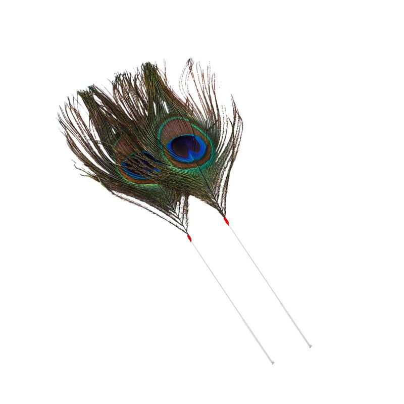 10本羽根 目玉羽 孔雀の羽銀針 耳かき道具羽根 孔雀の羽 装飾用 (style1)のサムネイル