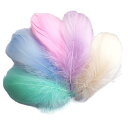 サムコス 羽シャワー フェザーシャワー 幻のマカロンの羽 たっぷり 羽根 たっぷり 手芸材料 飾りフェザー DIY装飾小物 結婚式 イベント ウェディング 誕生日 パーティー 演出 (200枚,カラフ