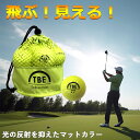ゴルフ ボール 飛距離 飛衛門 正規品 1ダース（全12球） マットカラー 目立つ カラーボール メッシュバッグ 日本ゴルフ協会 公認球