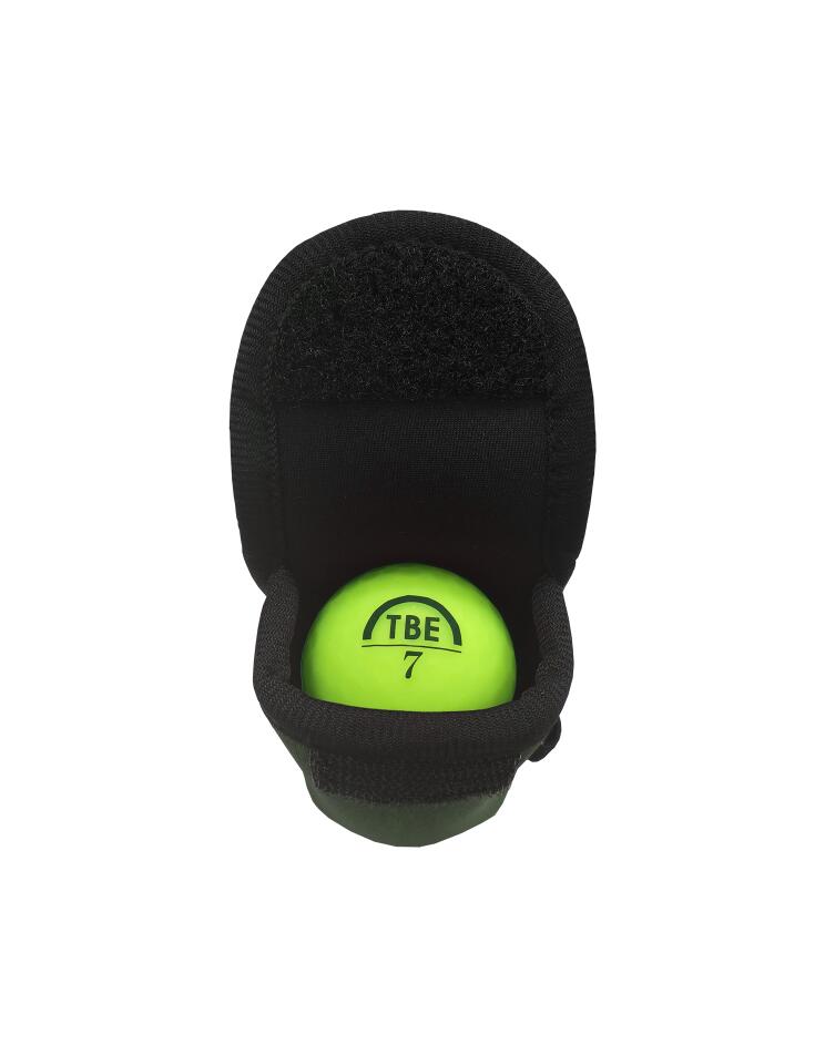 �꡼������ǥ����ƥ��� ����� �ܡ��륱���� ������ 2���Ǽ�� ����̵��