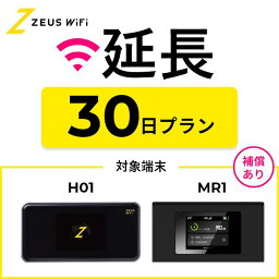 【延長専用】短期レンタルWiFi 30日プランwith端末サポートオプション