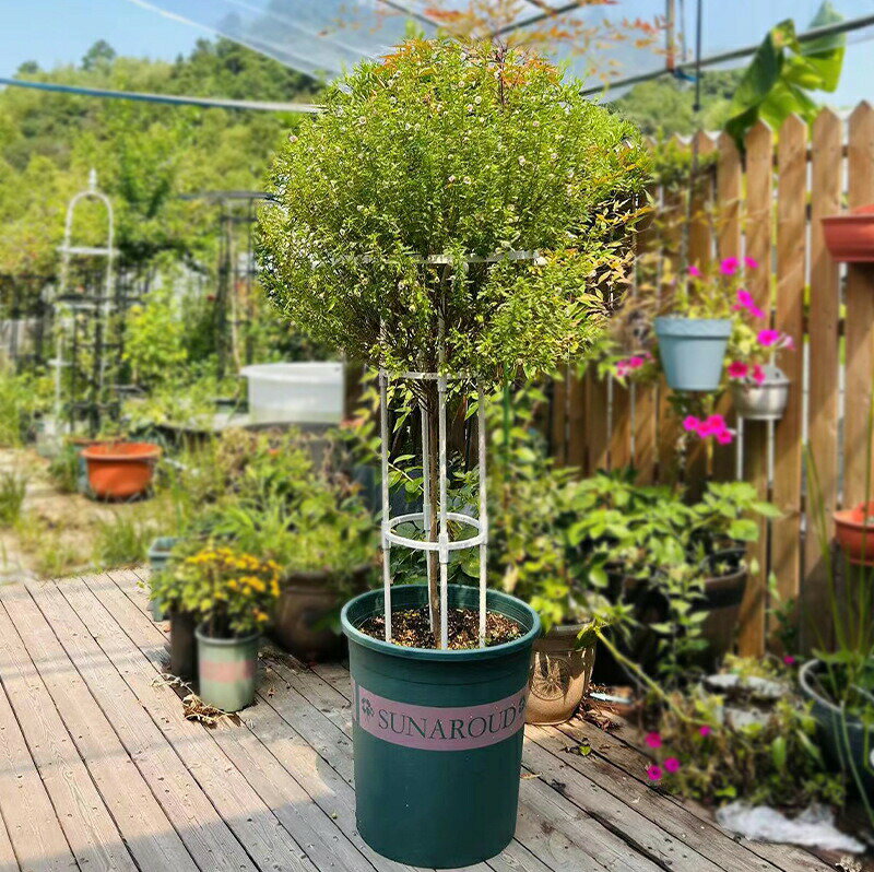 �����ǥ˥��ѻ��� ���٥ꥹ�� ���� �ȥ�ꥹ ����ñ ��°�� �ʰ���Ω�� �Ĥ�����ʪ �������� �Х� �����ǥ� ���� �ֻ٤� �� �� �� Ͷ�� ��ʪ���ݡ��� ���٥ꥹ�������� �ץ�󥿡� ������� ������� ����ȭ ��ʪ ȭ �� ���� ���� ���