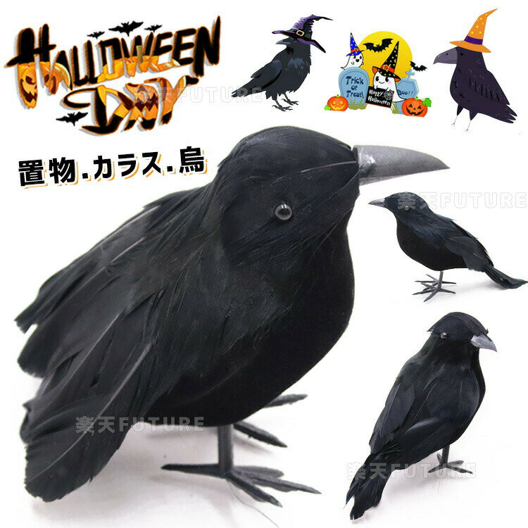 �ϥ������������� ��ʪ ���饹 �� �� ���� ���ƾ��� ������� ��� ���Ф� �ųݤ� ���⤷�� �ϥ������� ʷ�� �ѡ��ƥ��� ���� ���å� �ץ쥼��� ������...