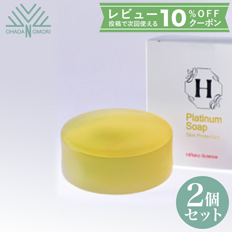 ヒロコサイエンス HiRokoScience ヒロコサイエンスソープ 100g 2個