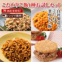 国産米使用 こだわりご飯4種お試しセット チキンライス 国産牛の牛すきめし そばめし ライスバーガー(豚生姜) ランチ 夜食 冷凍食品 冷凍米飯 レンジで簡単 釜炊きご飯