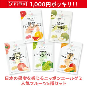 1000円 ポッキリ 送料無料 ニッポンエール グミ 5種 果汁グミ 国産果汁 使用 セット ギフト お菓子 おやつ スナック 小分け もっちり食感 国産 果汁 マンゴー シャインマスカット 桃 ルビーグレープフルーツ 二十世紀梨 メール便 全農 詰合せ グルメ スイーツ