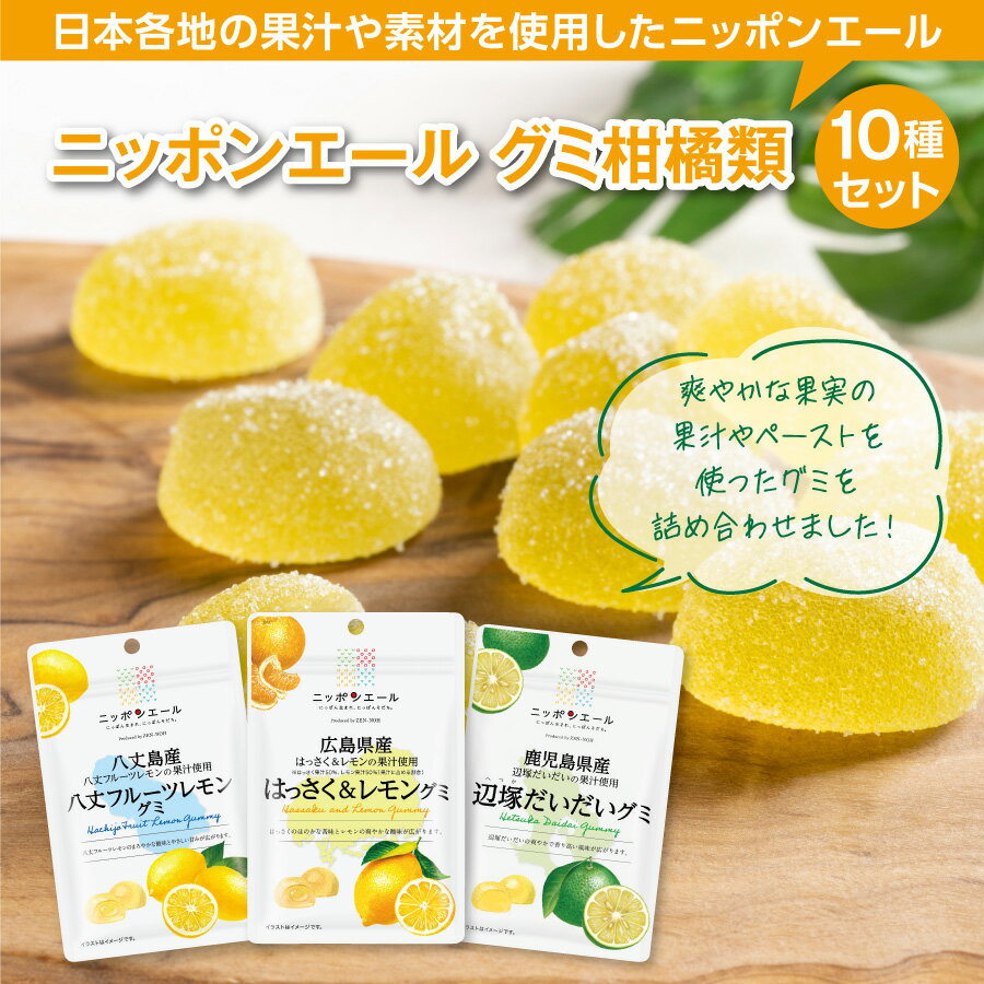 ニッポンエール グミ 柑橘 類セット