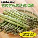 香川県 JA香川県 さぬきのめざめ 700g アスパラ グリーンアスパラ オリジナル品種 春芽 野菜 ギフト 旬 冷蔵便