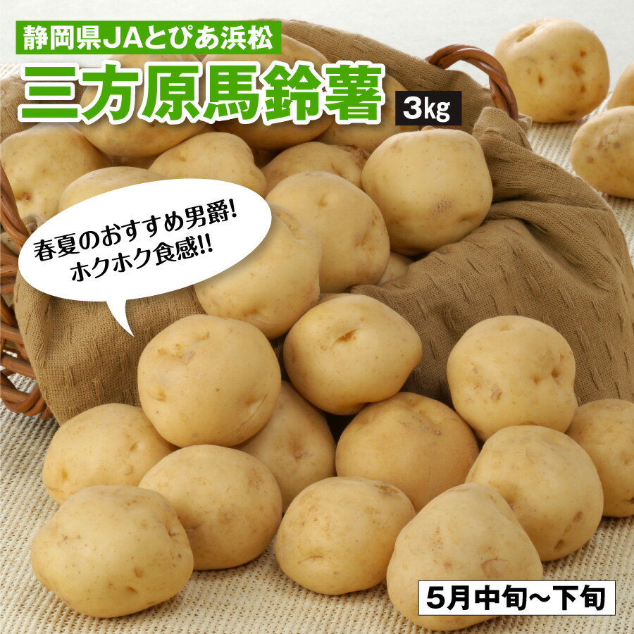静岡県 JAとぴあ浜松 三方原馬鈴薯 5月中旬～下旬発送 3kg じゃがいも 馬鈴薯 ポテト 男爵 野菜 ホクホク 国産 ジャガイモ 三方原のサムネイル