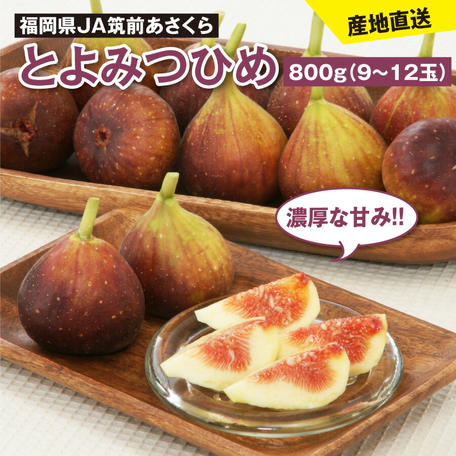 福岡県 とよみつひめ 800g（9～12玉） JA筑前あさくら 8月下旬発送開始 フルーツ 国産 フルーツ 果物 JA 夏 味覚 果実 ブドウ 産地直送 産直 ご当地 オリジナル品種のサムネイル