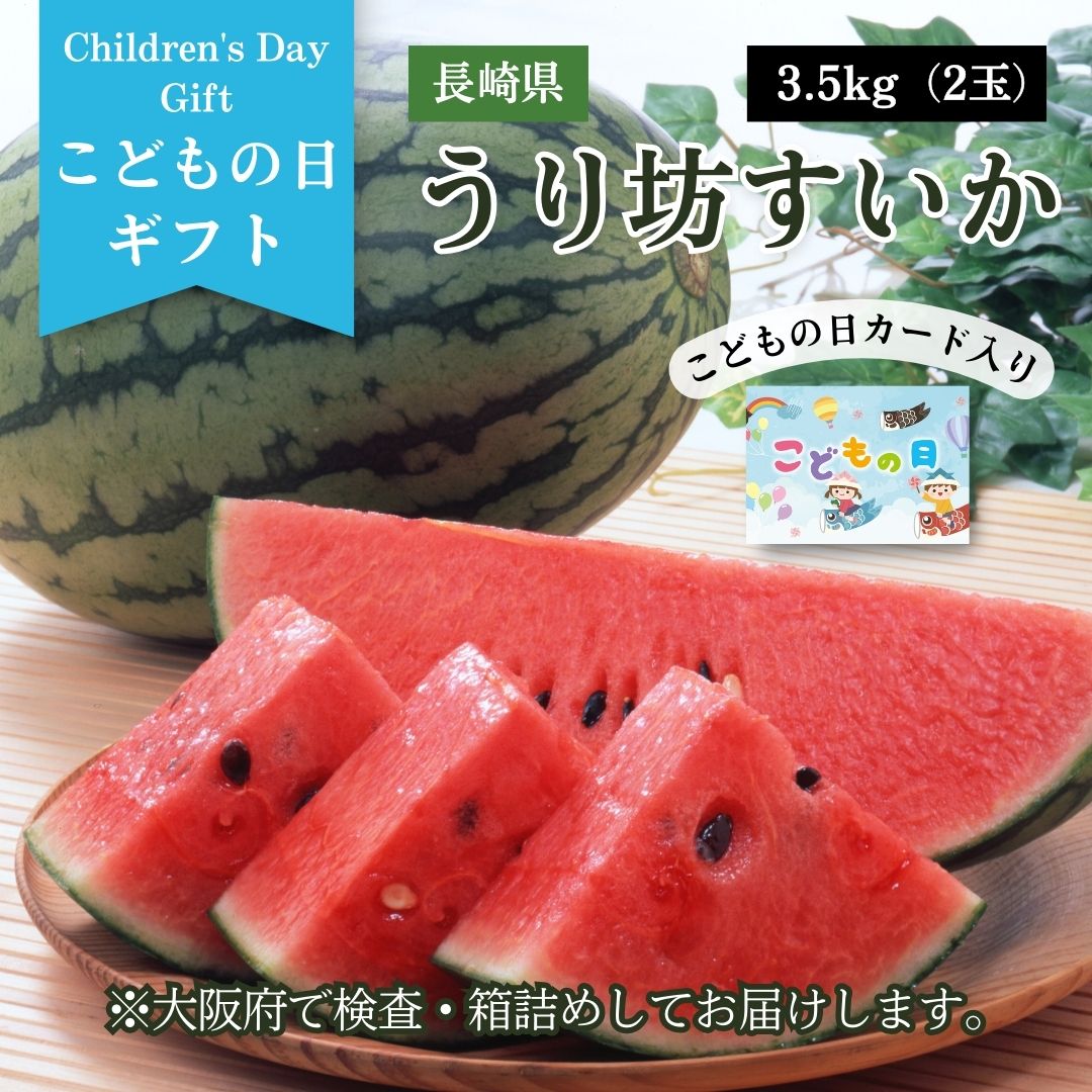 こどもの日 長崎県産 うり坊すいか 3．5kg 5月1日～5月2日発送 JA全農ながさき すいか こだますいか ラグビーボール 端午の節句 御祝い プレゼント ギフト フルーツ