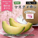 母の日 プレゼント 静岡県 マスクメロン 5月8日～5月10日発送 1.2kg（1玉）メロン 国産 ギフト 甘み 定番 芳醇 贈り物